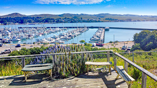 property for sale in Bodega Bay